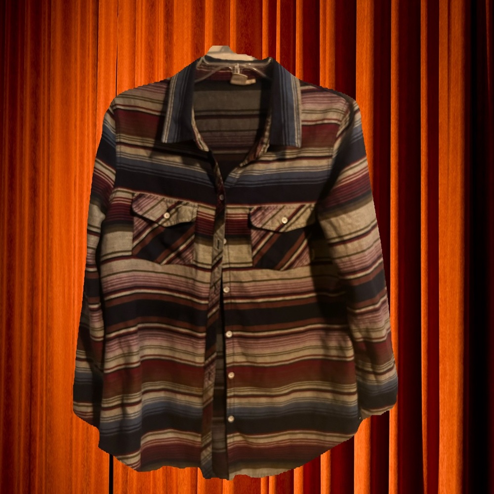Pendleton Multicolor Striped Button Down Shirt